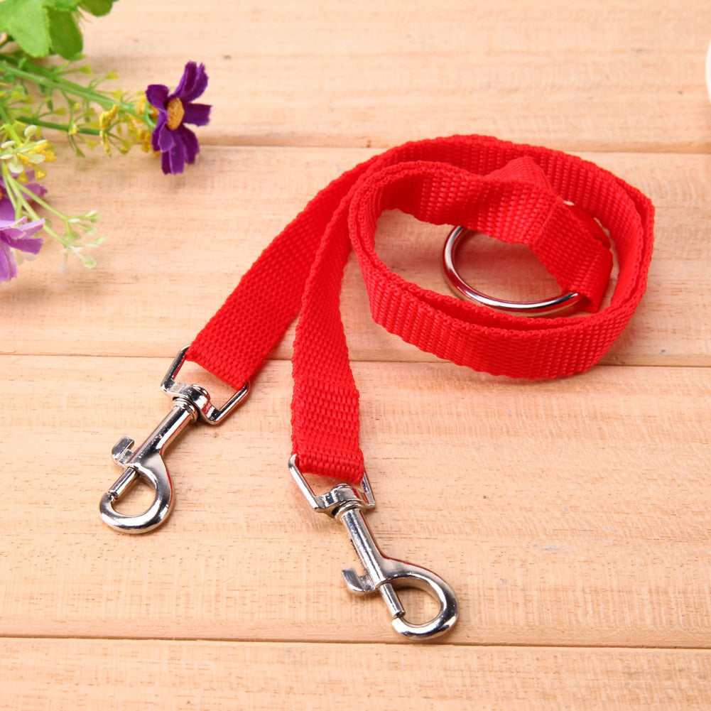 Nylon-Doppelleine für zwei Hunde – 100 cm, verhedderungsfrei