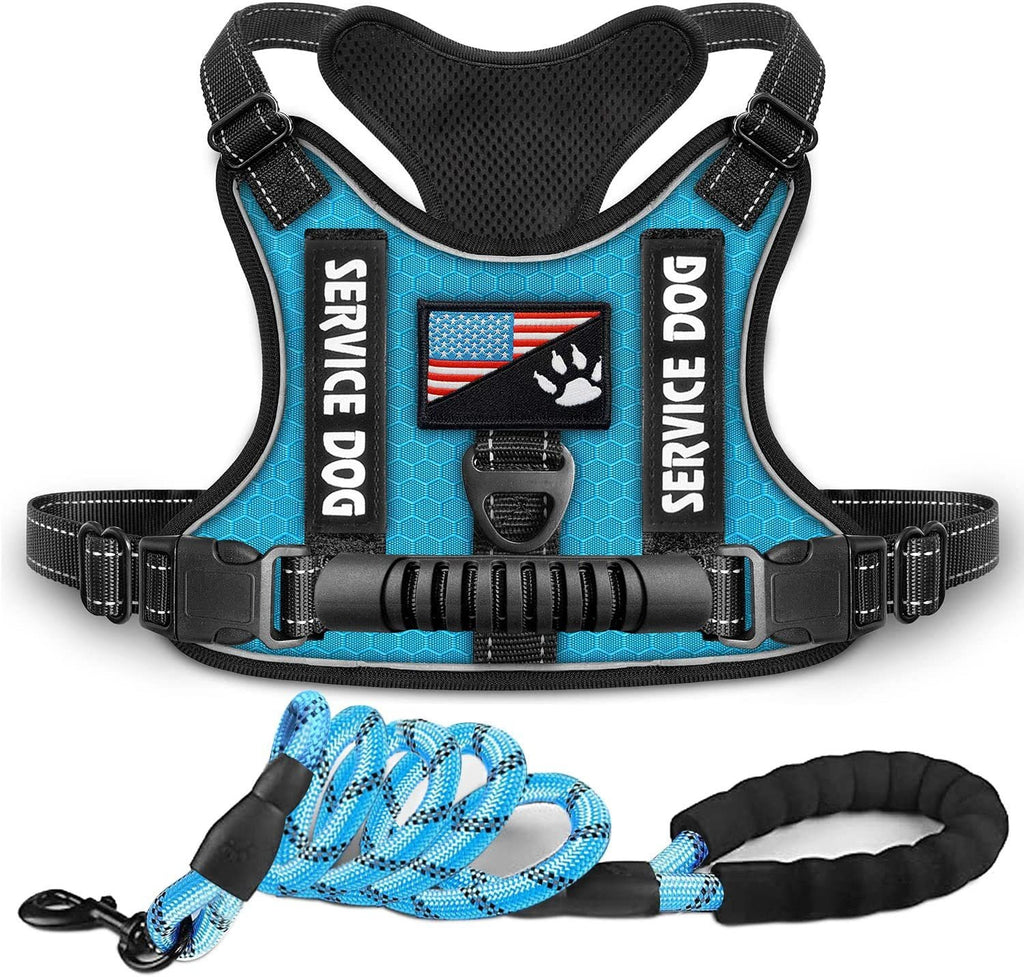 Reflektierendes Hundegeschirr mit Leine – stoßdämpfend, XS–XL