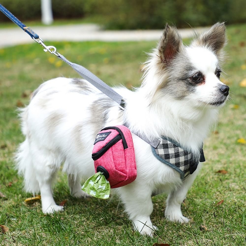 Leckerli-Gürteltasche für Hunde – multifunktional, Oxford-Stoff, 8 Varianten