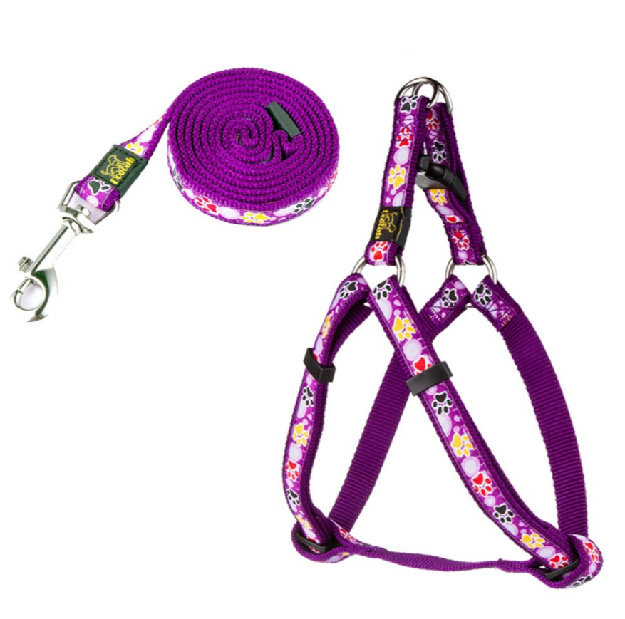 Hundehalsband & Leine Set mit Pfoten-Muster – Nylon, 3 Farben, S/M/L