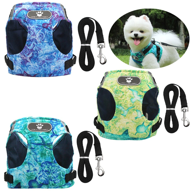 Hundegeschirr Weste Set mit Leine – Reflektierend, Weich, Verstellbar, XS–XL