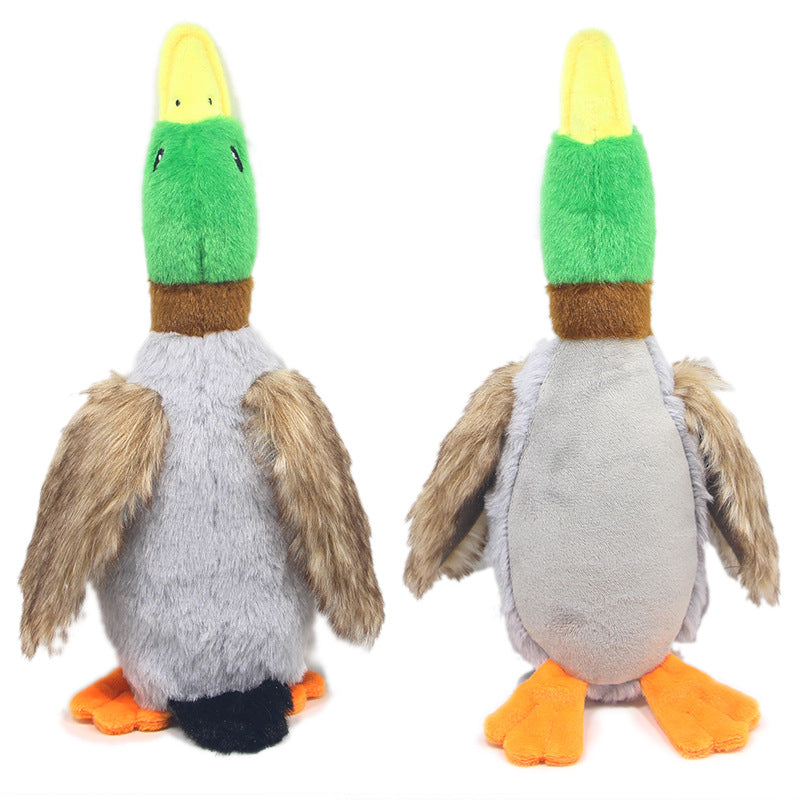Plüsch-Ente für Hunde – 28 cm, Quietscher & Knisterpapier