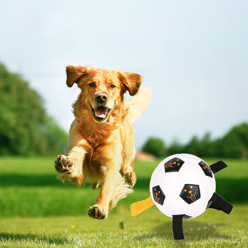 Hunde-Fussball mit Seilen - TPU | Beissresistent | 15 oder 17 cm | Inkl. Luftpumpe | Interaktiv