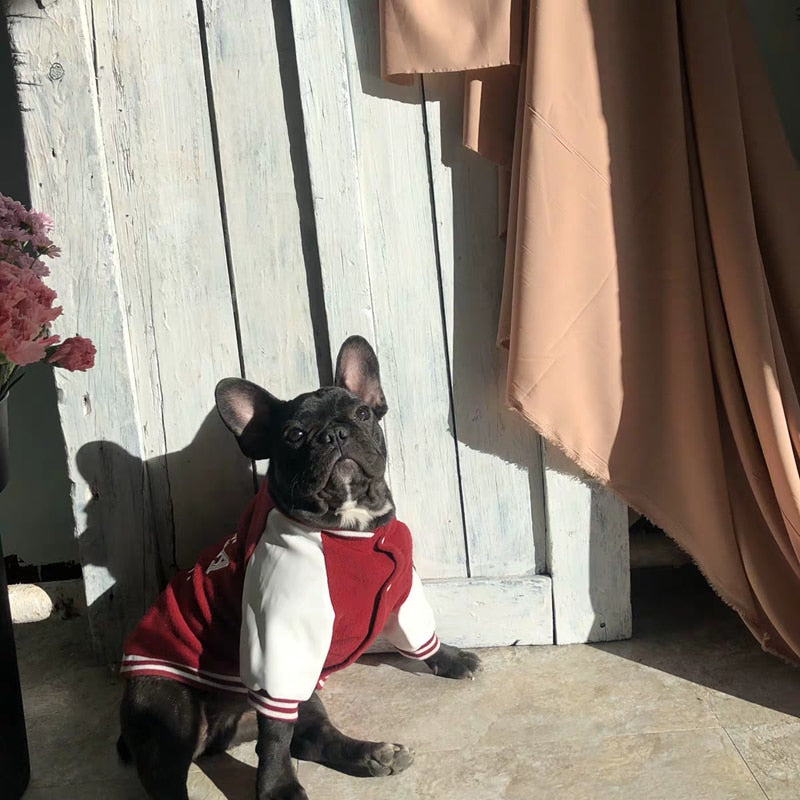 Hunde-Pullover Uni-Design | Weste für Bulldoggen & kleine Hunde | 100% Baumwolle