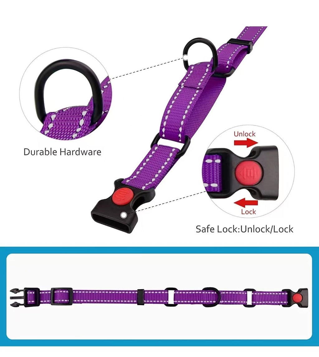 Reflektierendes Hundehalsband aus Nylon – verstellbar, mit Leine