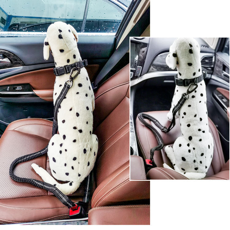 Hunde-Sicherheitsgurt Auto reflektierend – Nylon 2,5 x 135 cm, 6 Farben, für mittlere & große Hunde