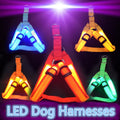LED Hundegeschirr aus Nylon – Sicherheit bei Nacht, 3 Lichtmodi