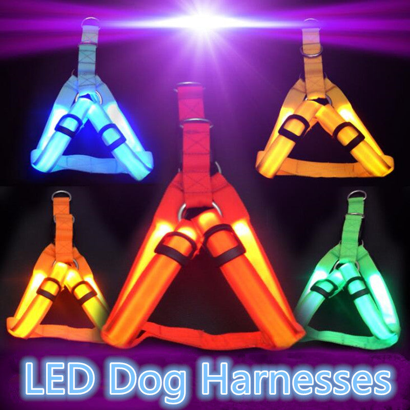 LED Hundegeschirr aus Nylon – Sicherheit bei Nacht, 3 Lichtmodi