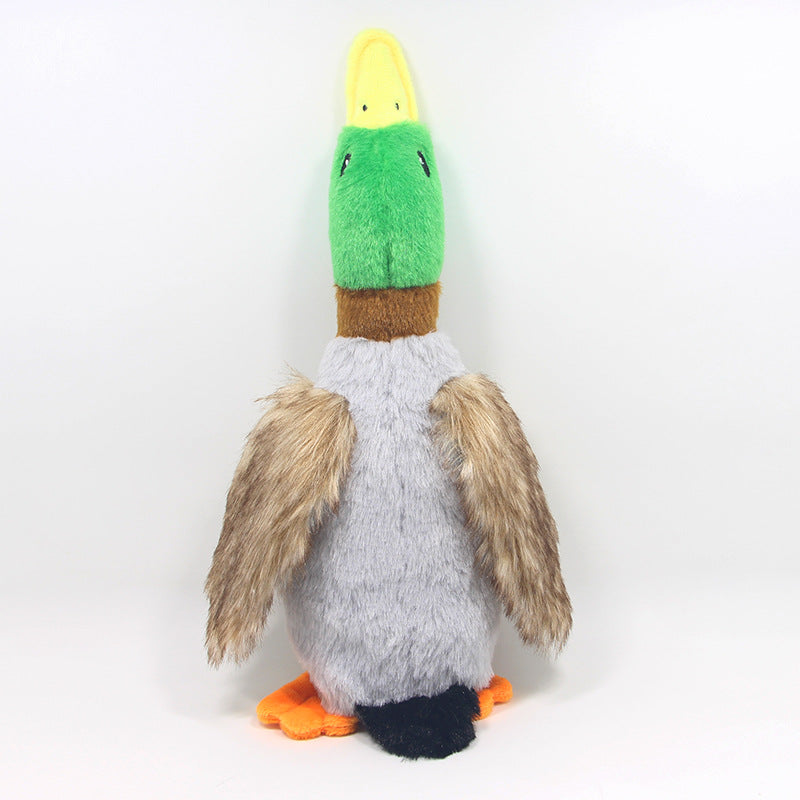 Plüsch-Ente für Hunde – 28 cm, Quietscher & Knisterpapier