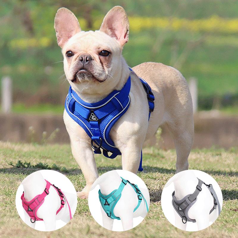 Reflektierendes Hundegeschirr Weste – atmungsaktiv, inkl. 1,5 m Leine, 6 Farben, S bis XL