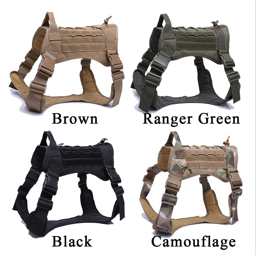 Taktisches Hundegeschirr Military MOLLE – 1000D Nylon, 4 Farben, M/L/XL, auch als Set mit Leine