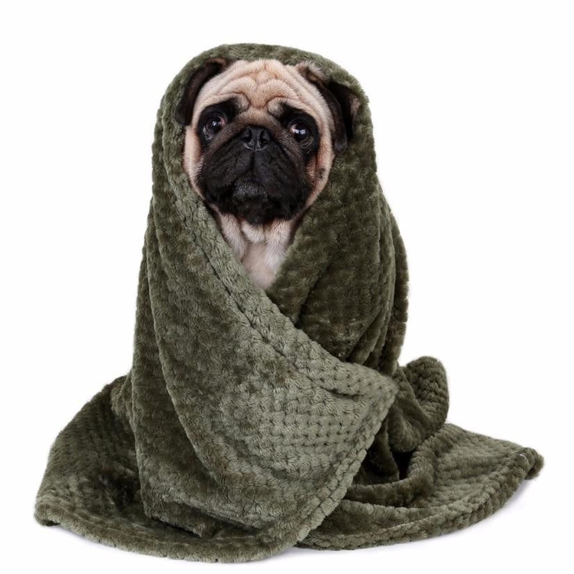 Warme Flanell-Decke fuer Hunde - 70x100 cm | 3 Farben | Sofa Auto Bett