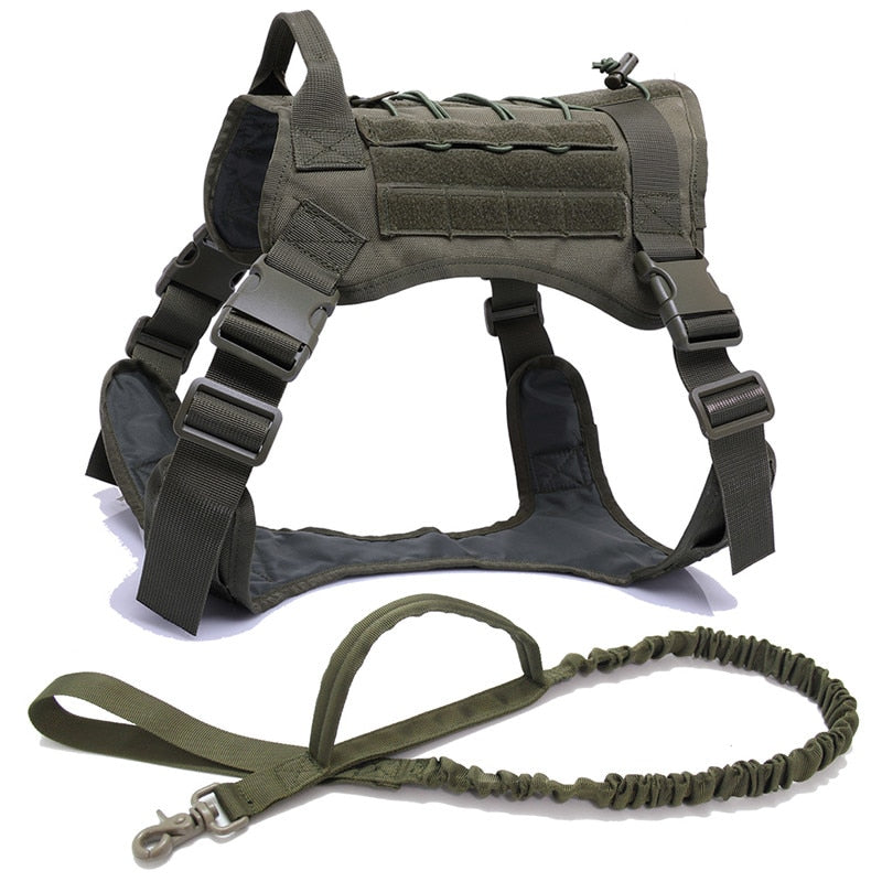 Taktisches Hundegeschirr Military MOLLE – 1000D Nylon, 4 Farben, M/L/XL, auch als Set mit Leine
