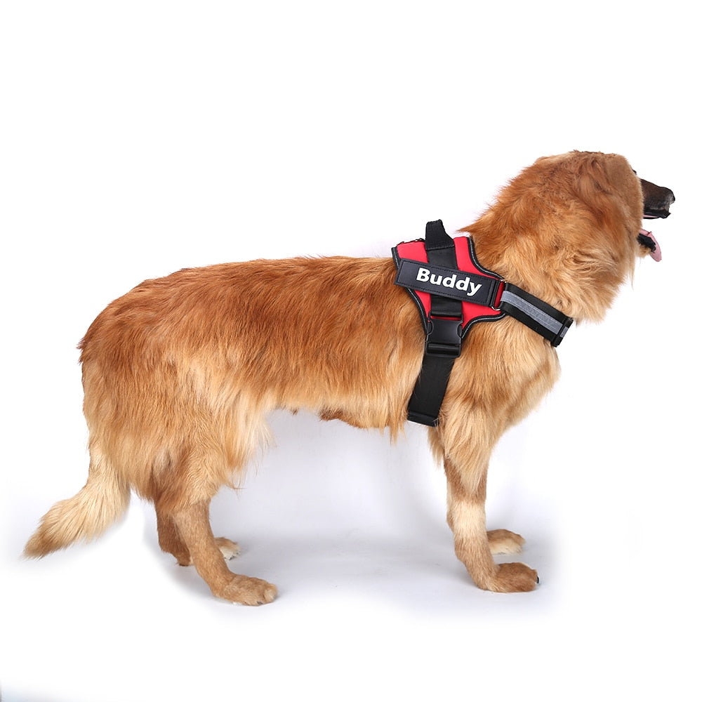 Personalisiertes Hundegeschirr No-Pull – Reflektierend, Atmungsaktiv, mit Namens-Patch, XS–2XL