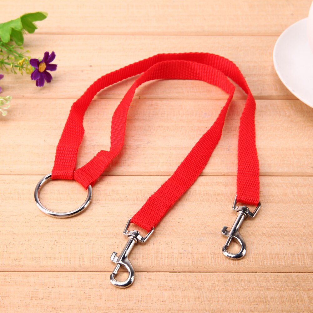 Nylon-Doppelleine für zwei Hunde – 100 cm, verhedderungsfrei