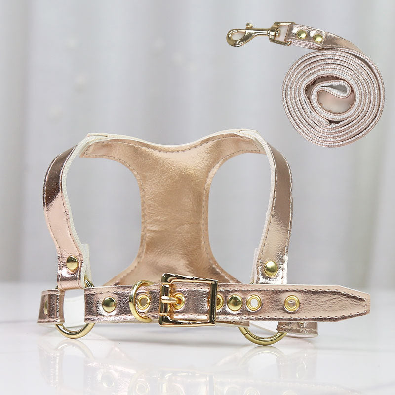 Hundegeschirr & Leine Set – Luxus PU-Leder für kleine Hunde