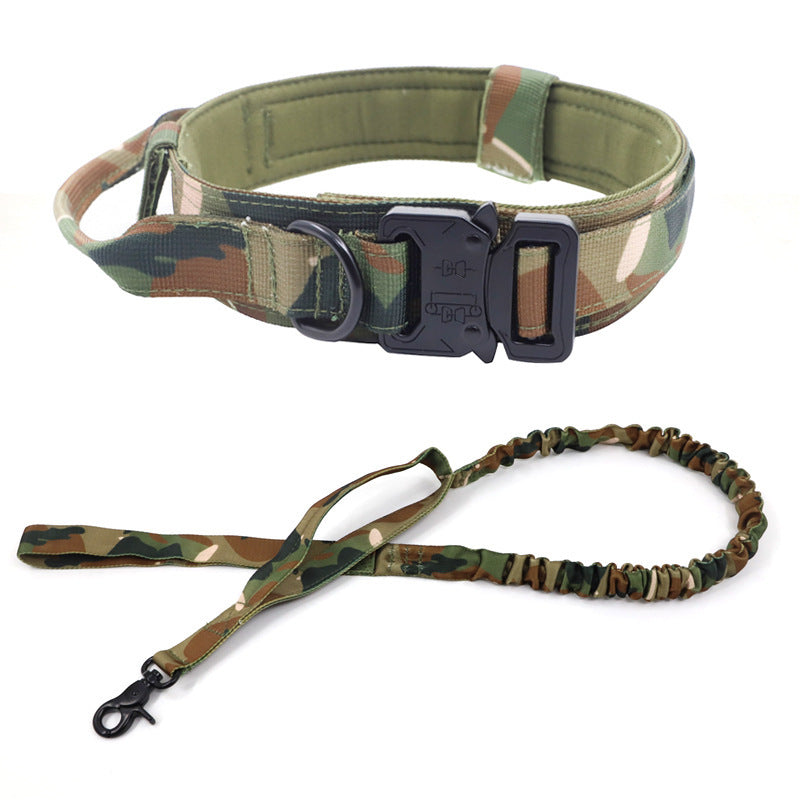 Taktisches Hundehalsband & Leine für Outdoor & Training – 8 Farben, M bis XL, auch als Set