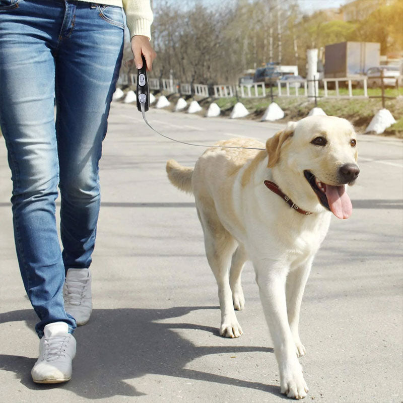 Einziehbare Hundeleine 5 m / 8 m – bis 50 kg, 4 Farben, für kleine & große Hunde