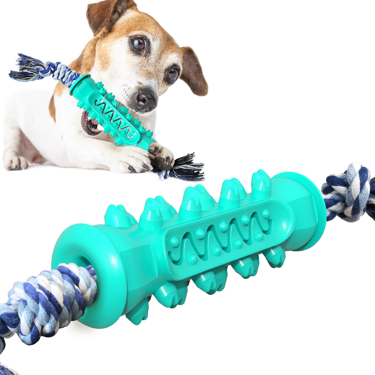 Kaustab mit Seil fuer Hunde - TPR | Bissfest | Zahnpflege | 3 Farben | Molarstick