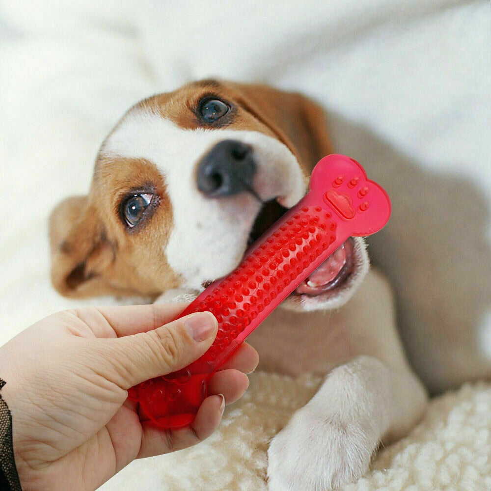 Gummi-Kauknochen für Hunde – Zahnbürsten-Spielzeug bissfest, 15 cm, Farbe zufällig