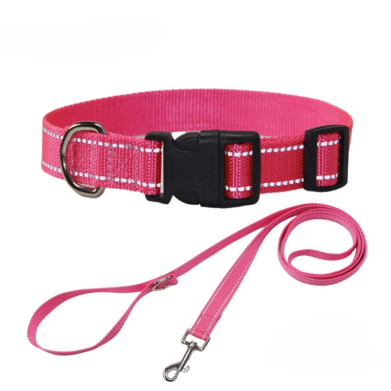 Nylon Hundehalsband & Leinenset – Verstellbar | 7 Farben & 4 Größen | XS–L