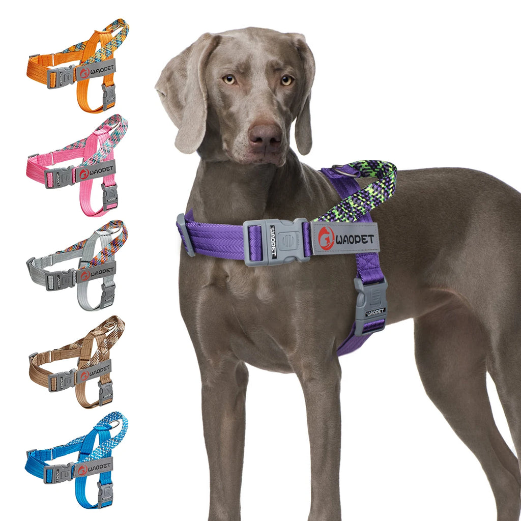 Hundegeschirr No-Pull – Reflektierend, Verstellbar, Nylon, S–L