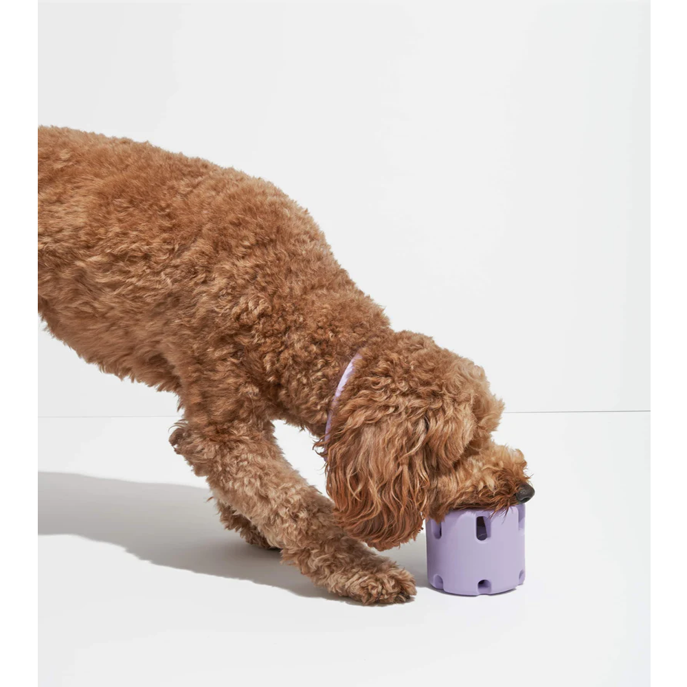 TPR Tennis-Cup – Wurfspielzeug für Hunde, bissfest, Ø7,8 cm