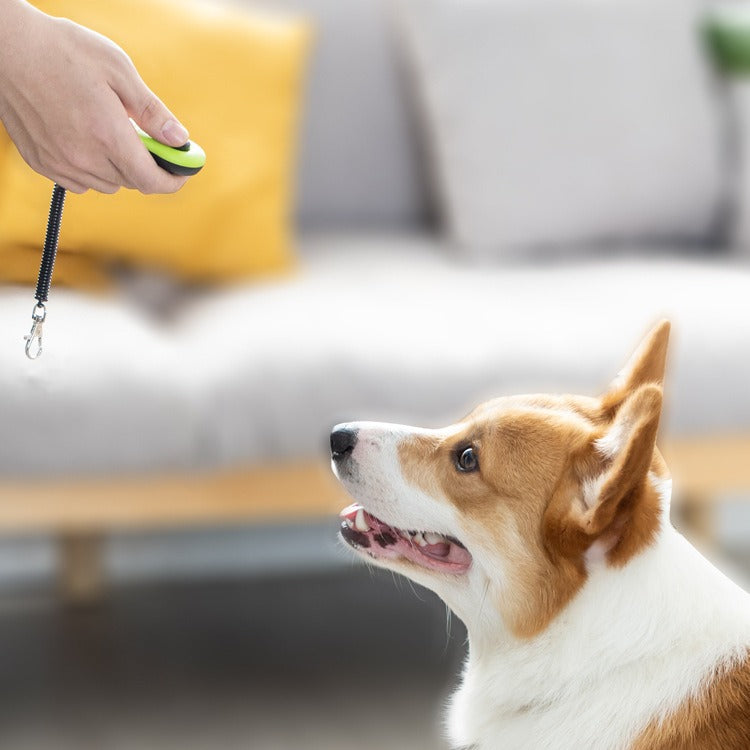 Hundetraining-Set – Klicker & Pfeife-Tickstab für effektives Training