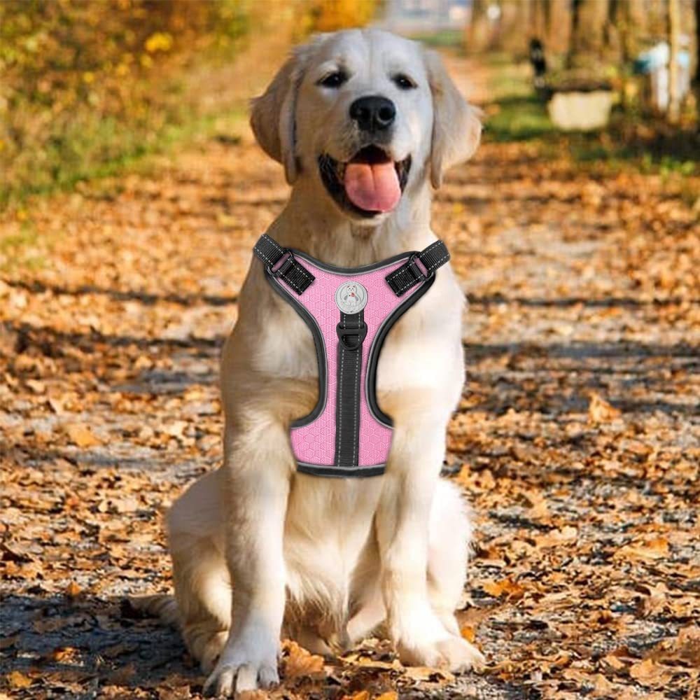 Reflektierendes Hundegeschirr mit Leine – stoßdämpfend, XS–XL