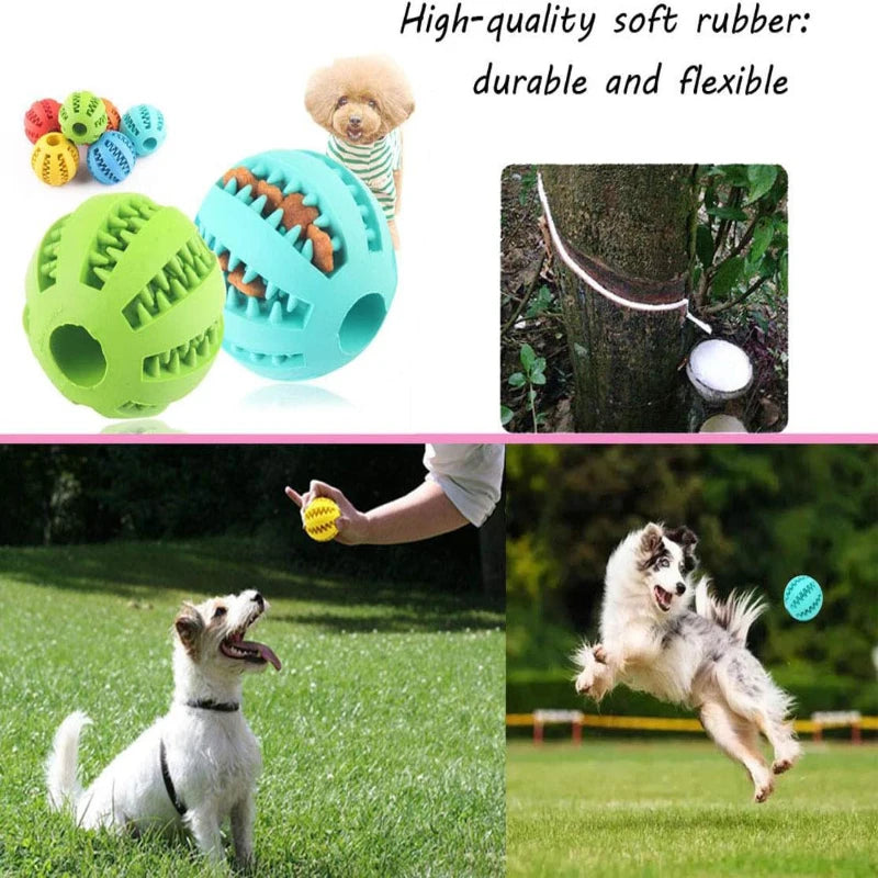 Interaktiver Kauball für Hunde – Zahnreinigung & Snackspender, 6 Farben, 5 & 7cm