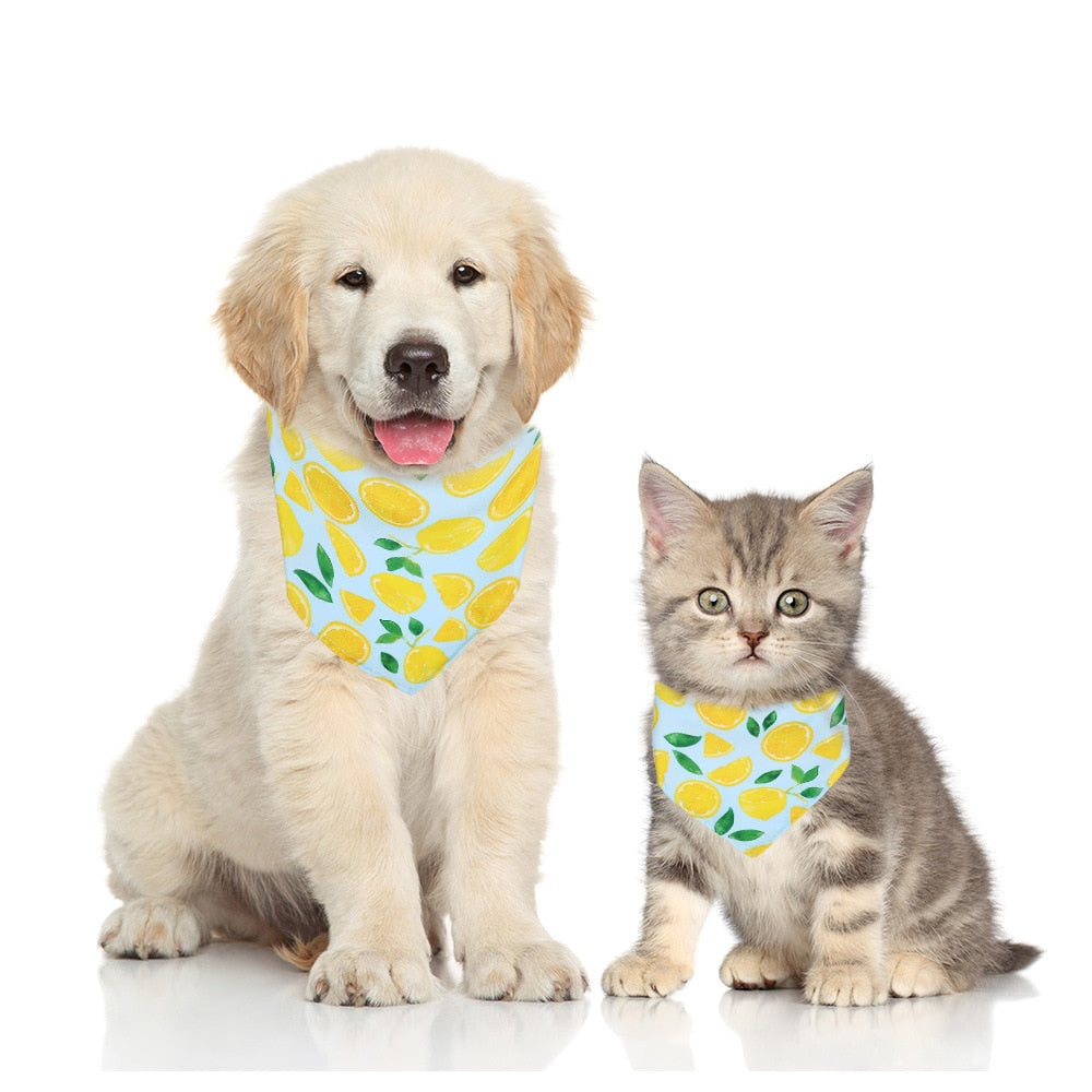 Hunde-Bandana mit Frucht-Motiv – Baumwolle, 6 Designs, 2 Größen