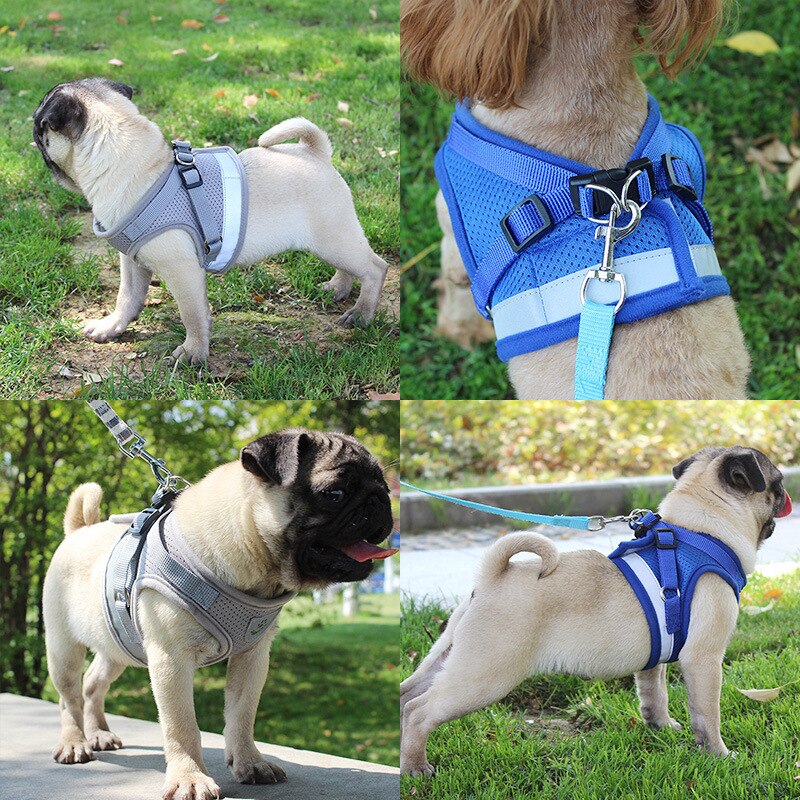 Reflektierendes Hundegeschirr & Leine Set – Sicherheitsweste, XS–XL, 4 Farben