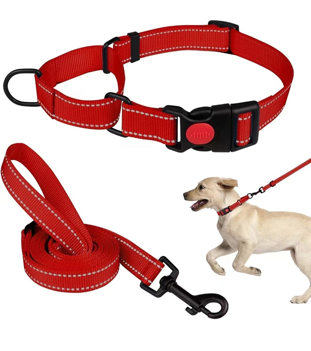 Reflektierendes Hundehalsband aus Nylon – verstellbar, mit Leine