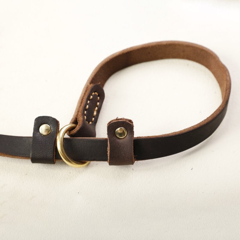 Echtleder-Hundeleine mit Slip-Collar – Braun, 180 cm