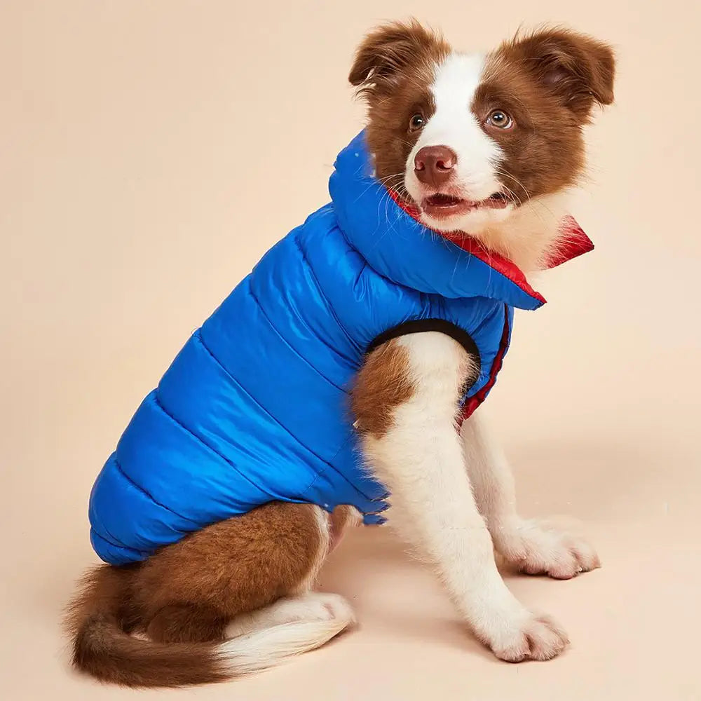 Hundepullover Herbst und Winter - Warm und weich | 6 Farben | S-5XL | Fuer alle Hunderassen