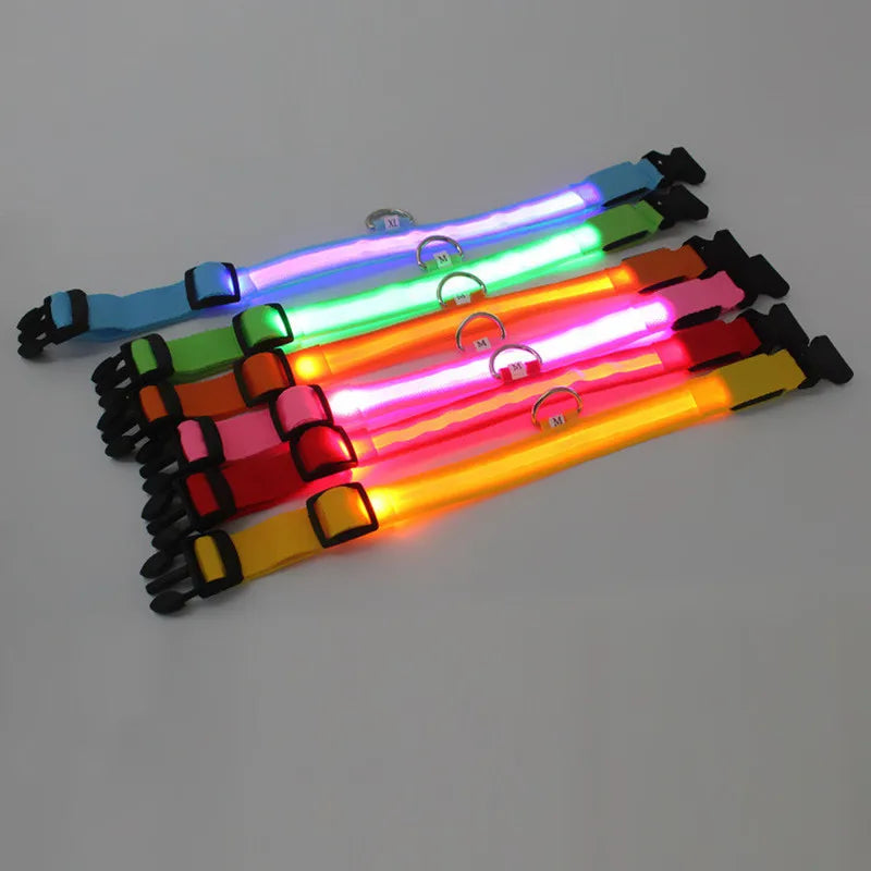 LED Hundehalsband – leuchtet im Dunkeln, 6 Farben, S–XL