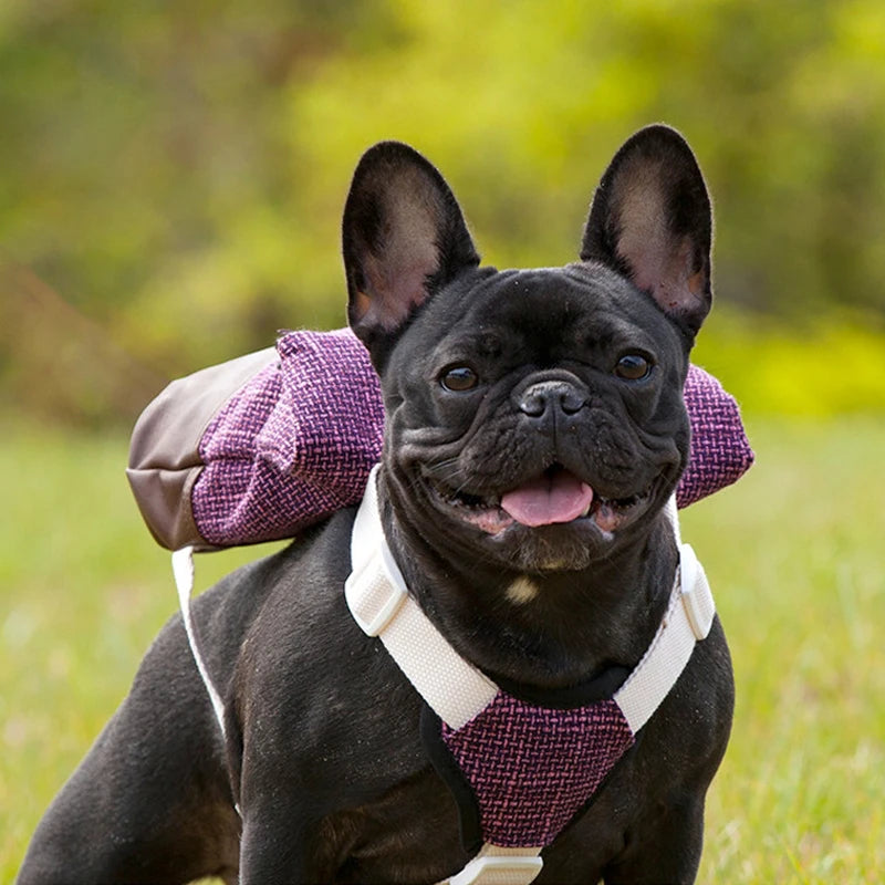 Hundegeschirr Weste mit Rucksack – Atmungsaktiv & Verstellbar, S–L