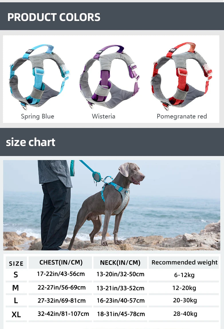 Hundegeschirr Training Weste – Reflektierend, Verstellbar, S–XL