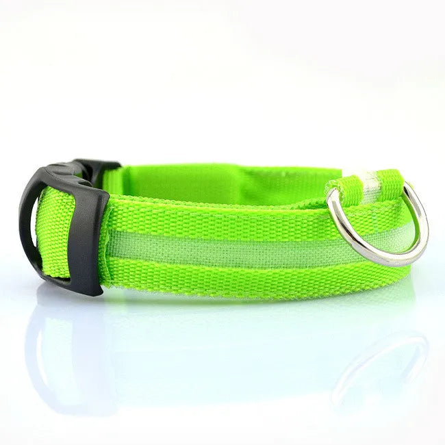 LED Hundehalsband – leuchtet im Dunkeln, 6 Farben, S–XL