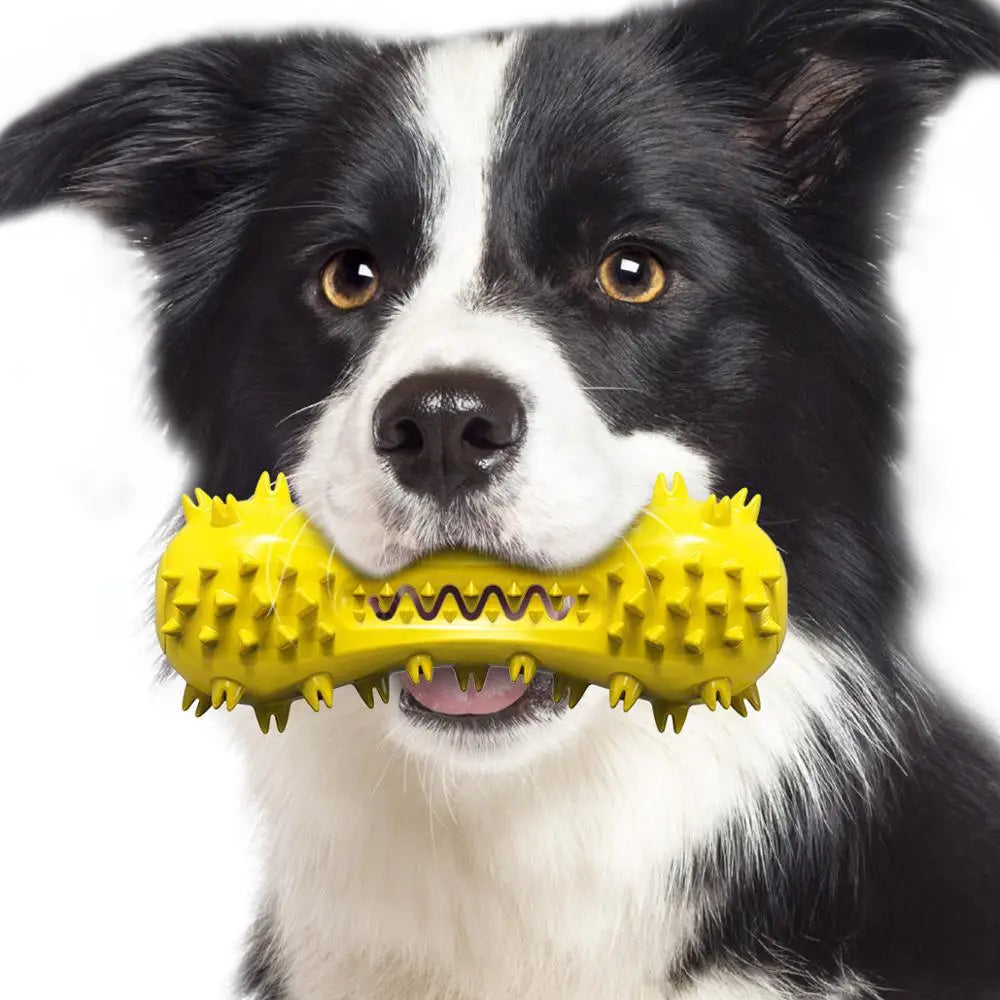 Hantel-Quietschspielzeug für Hunde – Gummi-Kauknochen mit Sound-Effekt