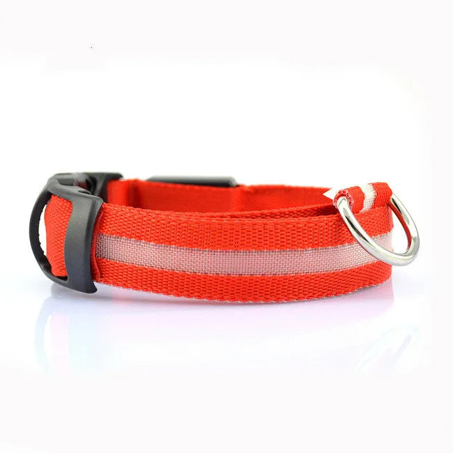 LED Hundehalsband – leuchtet im Dunkeln, 6 Farben, S–XL