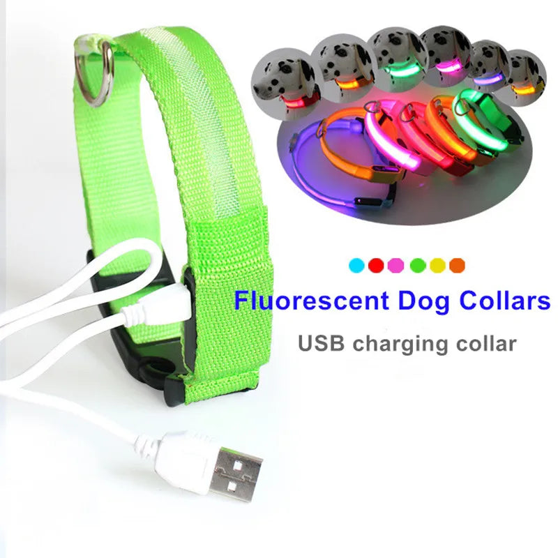 LED Hundehalsband – leuchtet im Dunkeln, 6 Farben, S–XL