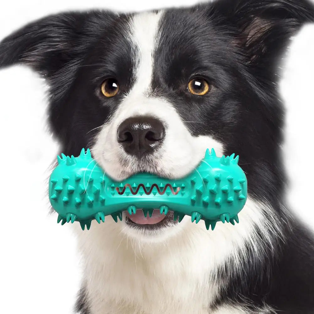 Hantel-Quietschspielzeug für Hunde – Gummi-Kauknochen mit Sound-Effekt