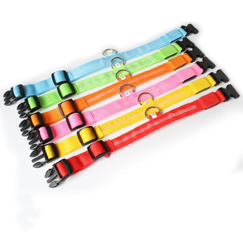 LED Hundehalsband – leuchtet im Dunkeln, 6 Farben, S–XL