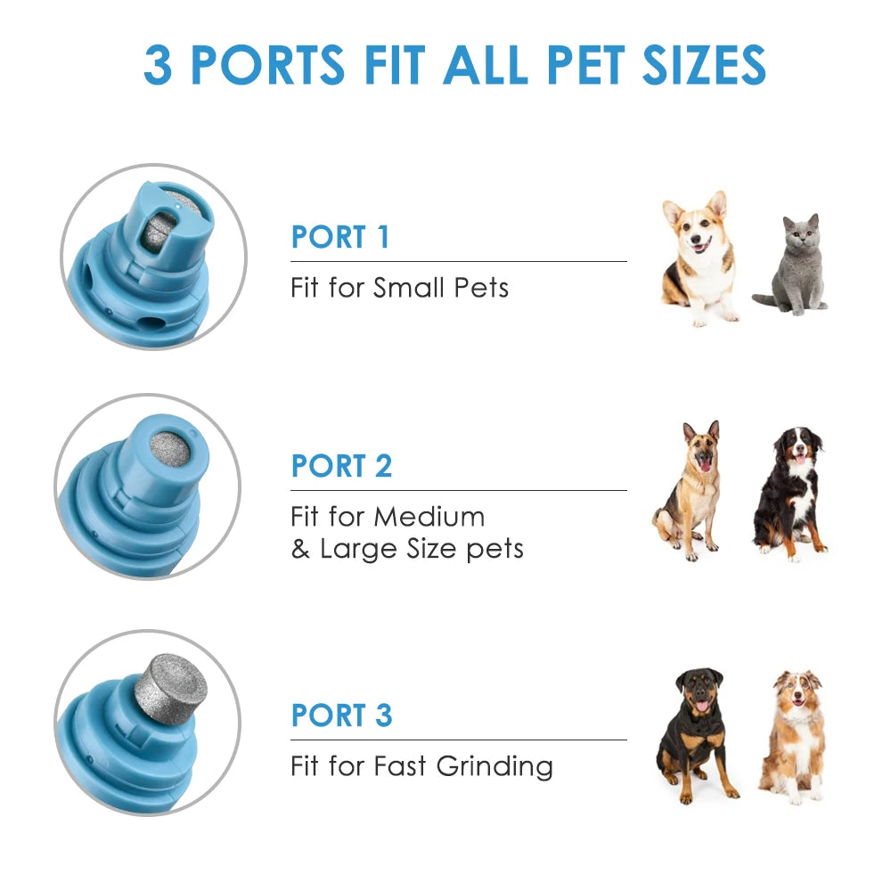 Elektrischer Nagelschleifer für Hunde – USB-aufladbar, leise & schmerzfrei | 3 Styles