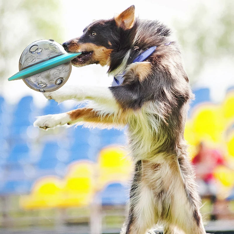 Frisbee Leckerli-Spender – 3-in-1 Slow Feeder, Wurfscheibe & Intelligenzspielzeug für Hunde