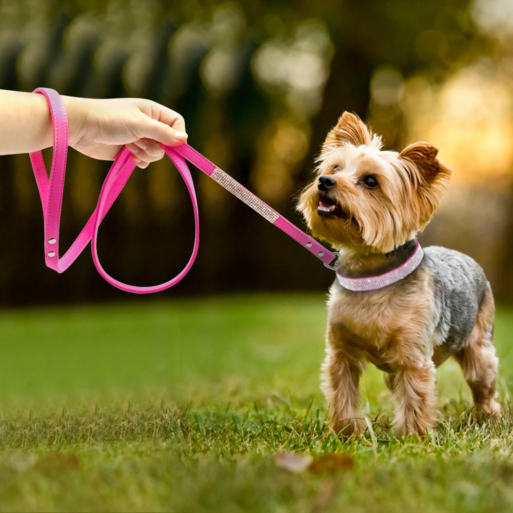 Strass-Halsband & Leine Set aus Wildleder – verstellbar, 5 Farben, XS bis M für kleine Hunde