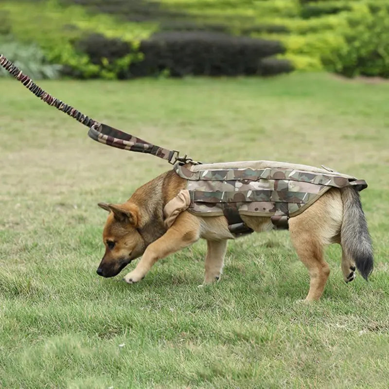 Taktische Hundeleine für Training & Outdoor – Nylon, Militärschnalle, 97+150 cm, 3 Farben