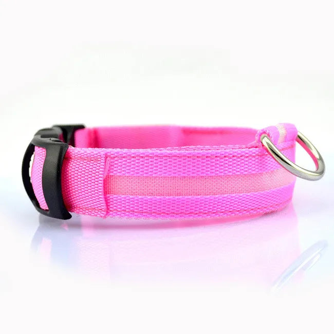 LED Hundehalsband – leuchtet im Dunkeln, 6 Farben, S–XL