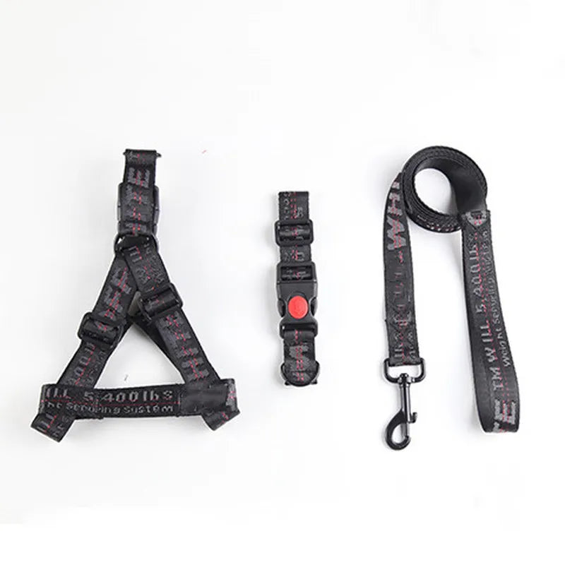 Halsband-Geschirr-Leine-Set mit Buchstaben-Print – Nylon, S–L